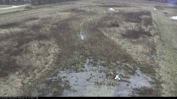 Cell 1_24-03-10_12-59-32-12