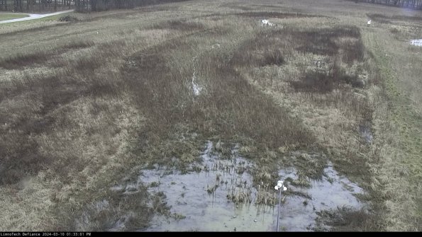 Cell 1_24-03-10_13-33-02-13