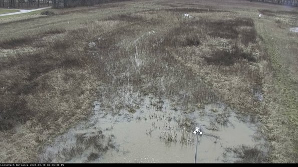 Cell 1_24-03-10_14-06-31-15