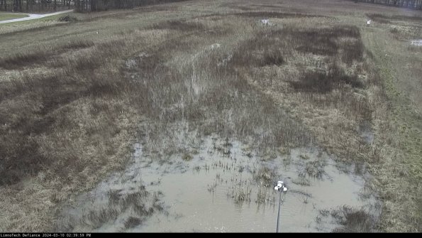 Cell 1_24-03-10_14-40-00-13