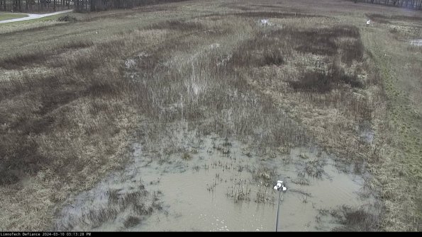 Cell 1_24-03-10_15-13-29-14