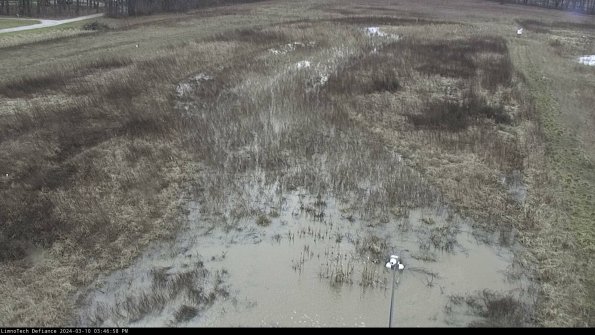 Cell 1_24-03-10_15-46-59-16