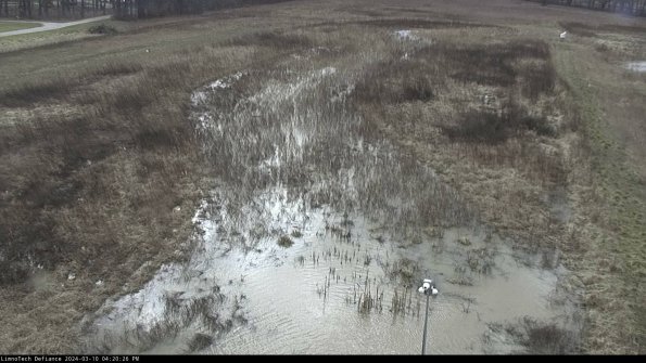 Cell 1_24-03-10_16-20-27-14