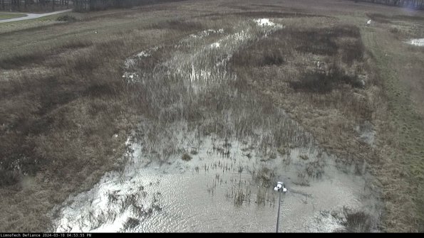 Cell 1_24-03-10_16-53-56-12