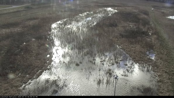 Cell 1_24-03-10_18-00-55-15