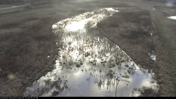 Cell 1_24-03-10_18-34-25-13