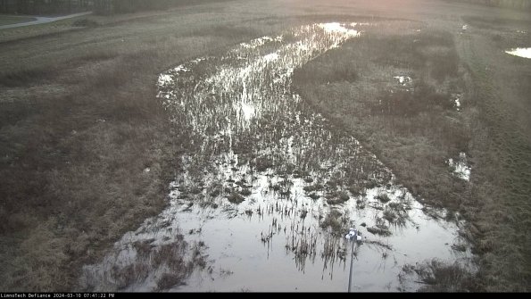 Cell 1_24-03-10_19-41-23-13