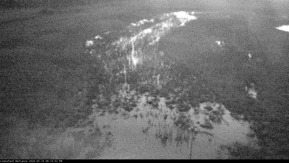 Cell 1_24-03-10_20-14-53-14