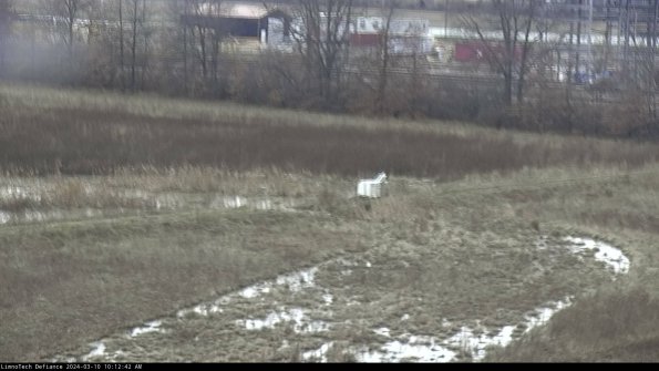 Cell 2 to 3_24-03-10_10-12-43-22