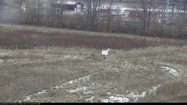 Cell 2 to 3_24-03-10_10-46-14-17