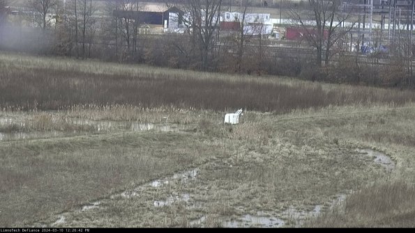 Cell 2 to 3_24-03-10_12-26-43-24