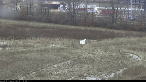 Cell 2 to 3_24-03-10_13-33-42-24