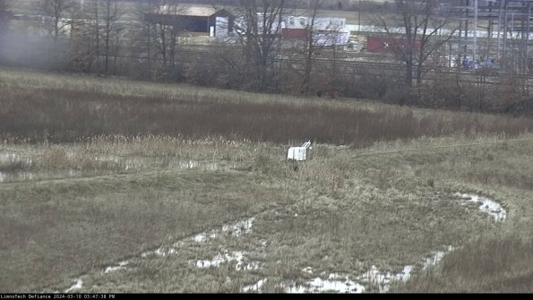 Cell 2 to 3_24-03-10_15-47-39-26