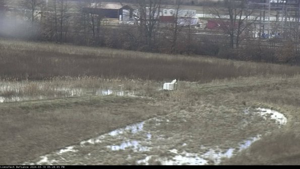 Cell 2 to 3_24-03-10_17-28-06-24