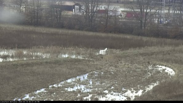 Cell 2 to 3_24-03-10_18-01-35-29