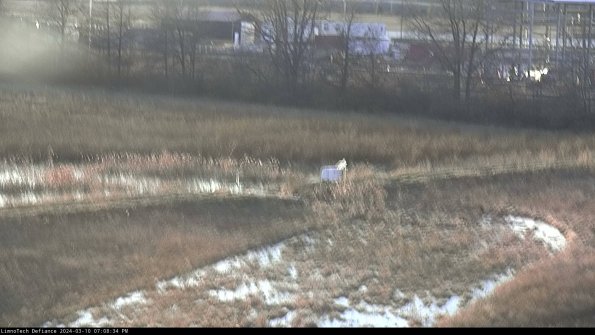 Cell 2 to 3_24-03-10_19-08-35-19