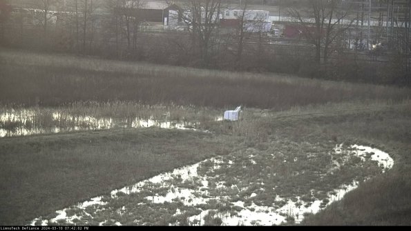 Cell 2 to 3_24-03-10_19-42-03-27