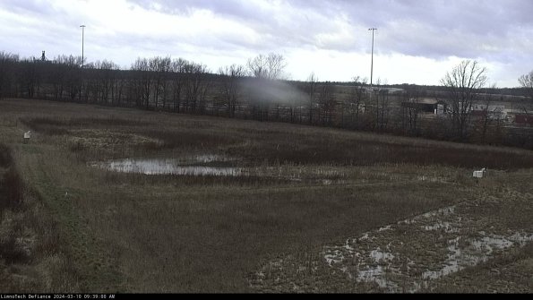 Cell 2_24-03-10_09-39-01-20