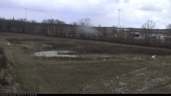 Cell 2_24-03-10_12-26-30-16