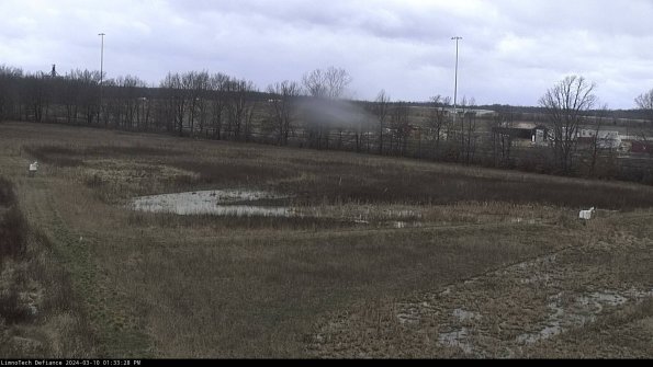 Cell 2_24-03-10_13-33-29-16