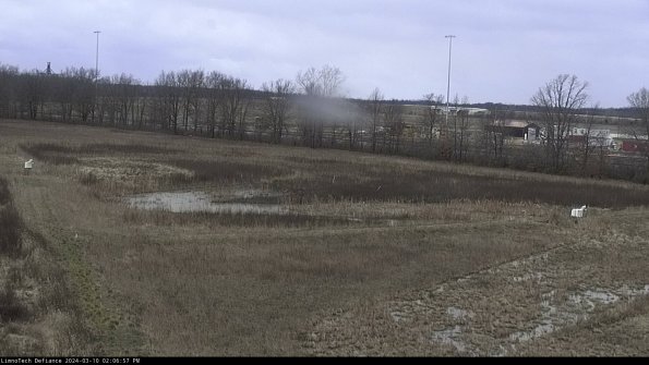 Cell 2_24-03-10_14-06-58-14