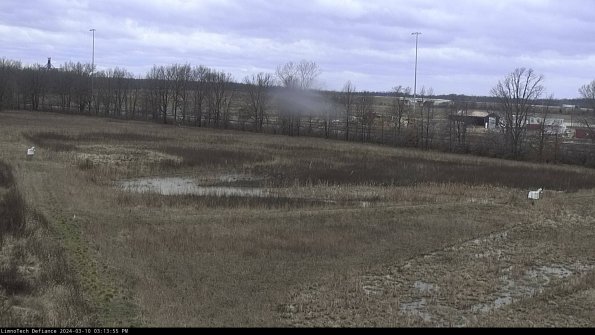 Cell 2_24-03-10_15-13-56-17