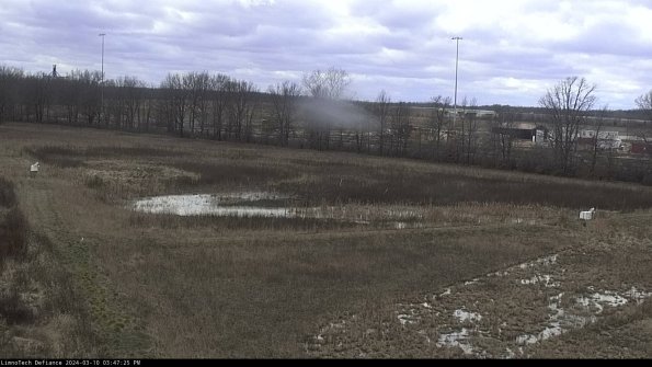 Cell 2_24-03-10_15-47-26-15