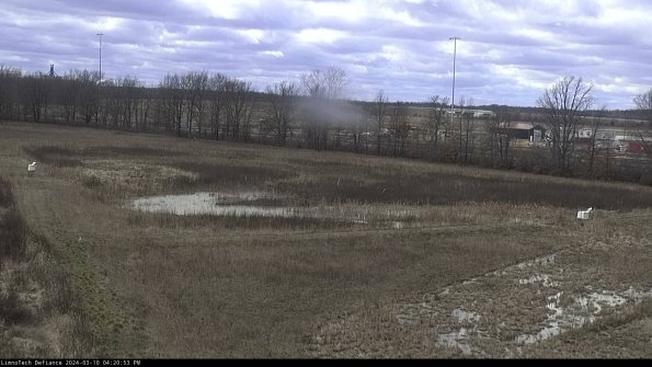 Cell 2_24-03-10_16-20-54-16