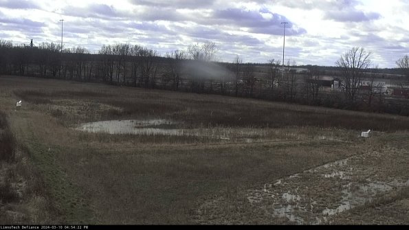 Cell 2_24-03-10_16-54-23-14