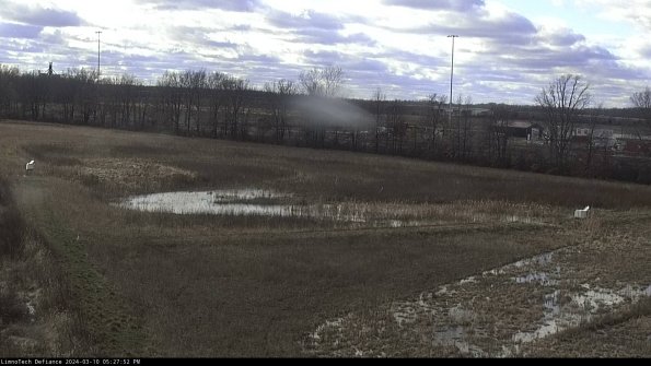 Cell 2_24-03-10_17-27-53-16