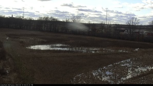 Cell 2_24-03-10_18-01-22-18