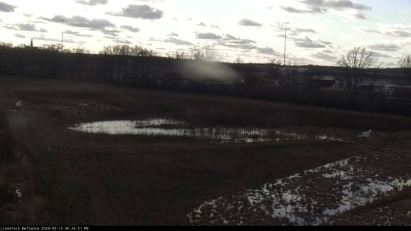 Cell 2_24-03-10_18-34-52-19