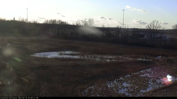 Cell 2_24-03-10_19-08-22-17