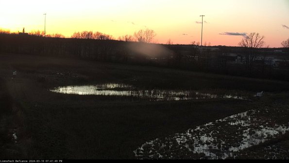 Cell 2_24-03-10_19-41-50-15