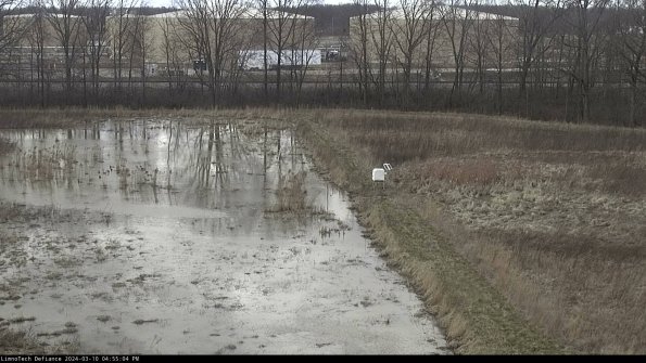 Cell 3 to 4_24-03-10_16-55-05-12