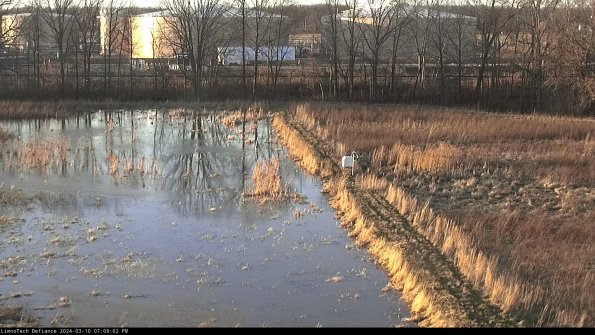 Cell 3 to 4_24-03-10_19-09-03-11