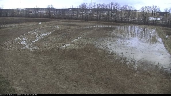 Cell 3_24-03-10_09-39-29-12