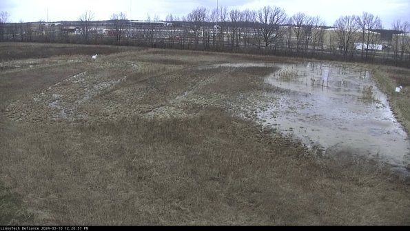 Cell 3_24-03-10_12-26-58-16