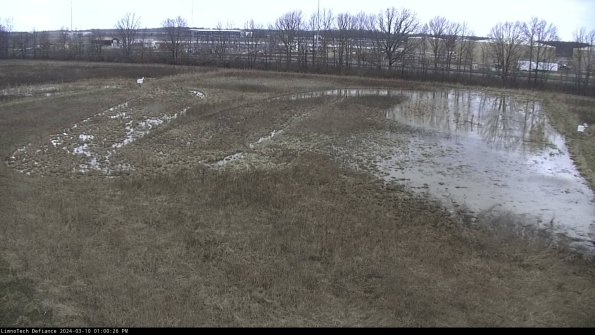 Cell 3_24-03-10_13-00-27-14