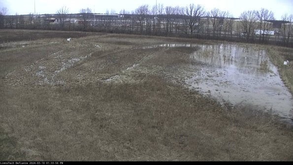 Cell 3_24-03-10_13-33-57-15