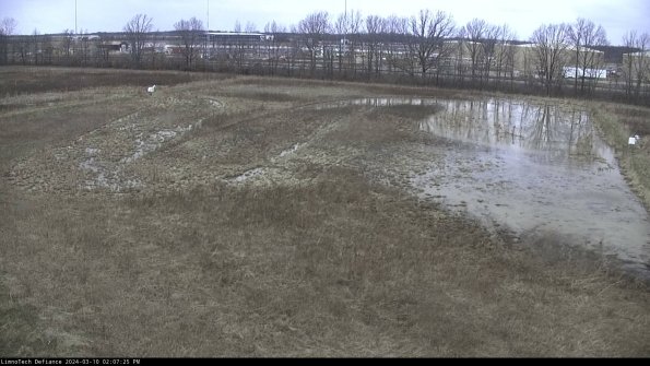 Cell 3_24-03-10_14-07-26-13