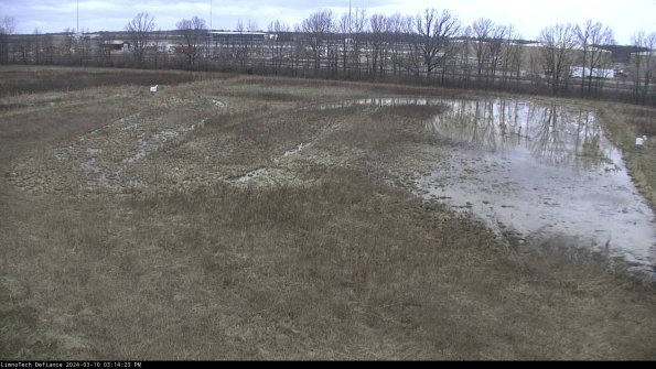 Cell 3_24-03-10_15-14-24-13