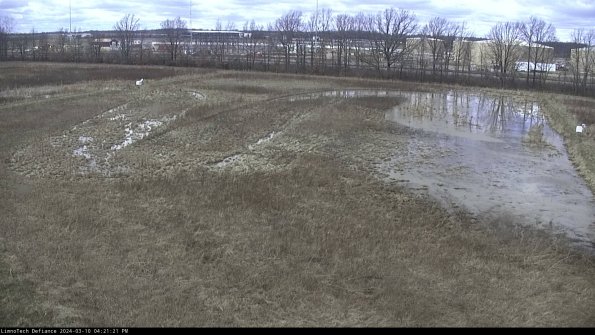 Cell 3_24-03-10_16-21-22-12