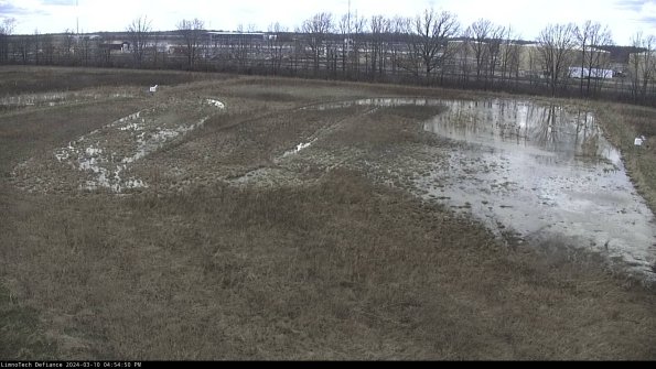 Cell 3_24-03-10_16-54-51-14