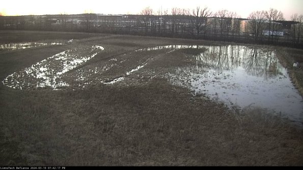 Cell 3_24-03-10_19-42-18-12