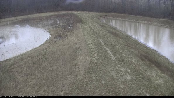 Cell 4 to Basin_24-03-10_13-01-25-13