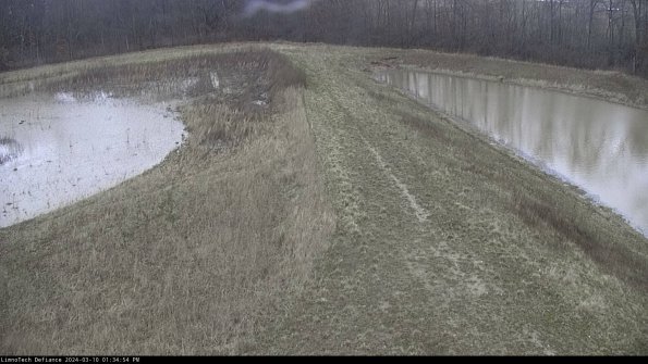 Cell 4 to Basin_24-03-10_13-34-55-15