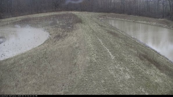 Cell 4 to Basin_24-03-10_14-41-53-11