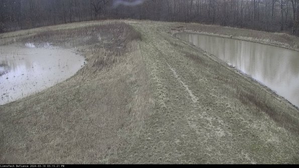 Cell 4 to Basin_24-03-10_15-15-22-12