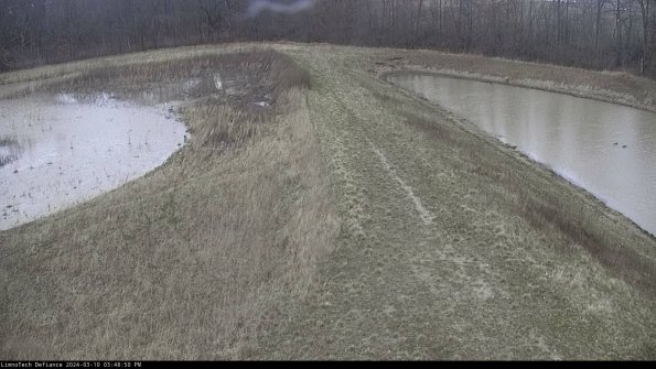 Cell 4 to Basin_24-03-10_15-48-51-14